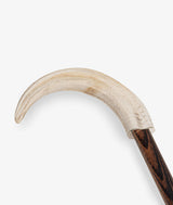 Walking stick Montague