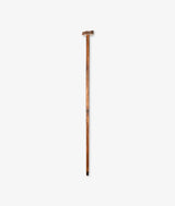 Walking Stick