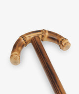 Walking stick Byron