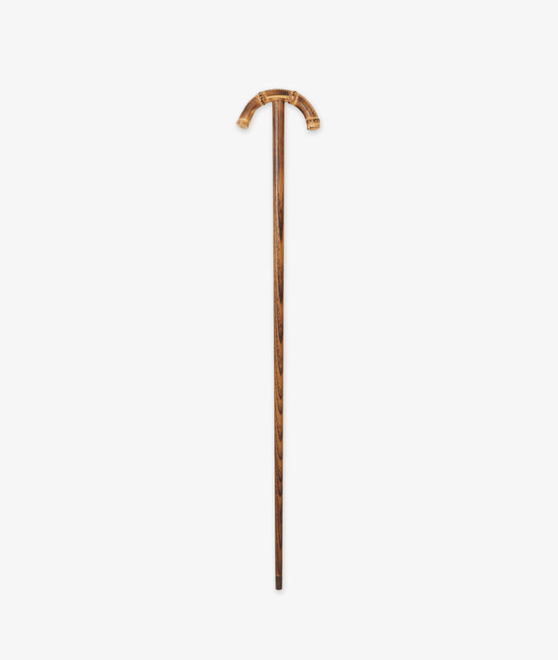 Walking stick Byron