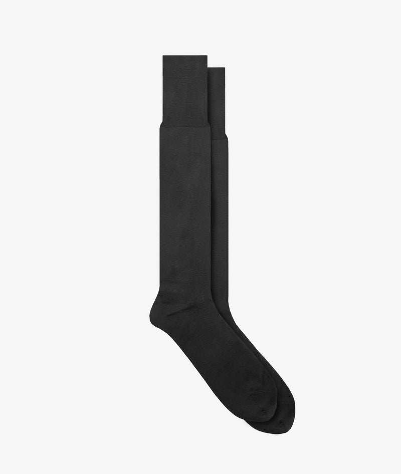 Long Silk socks