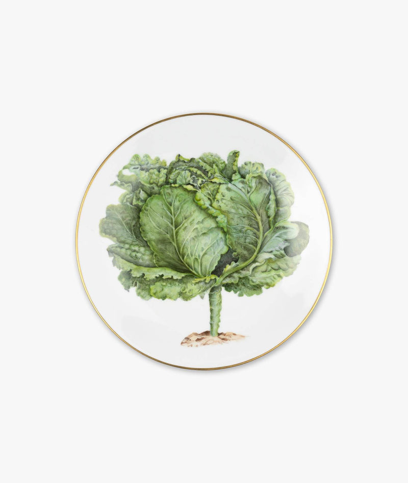 Plate “Caulis Floris”