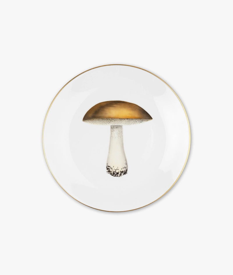 Plate “Suillus”
