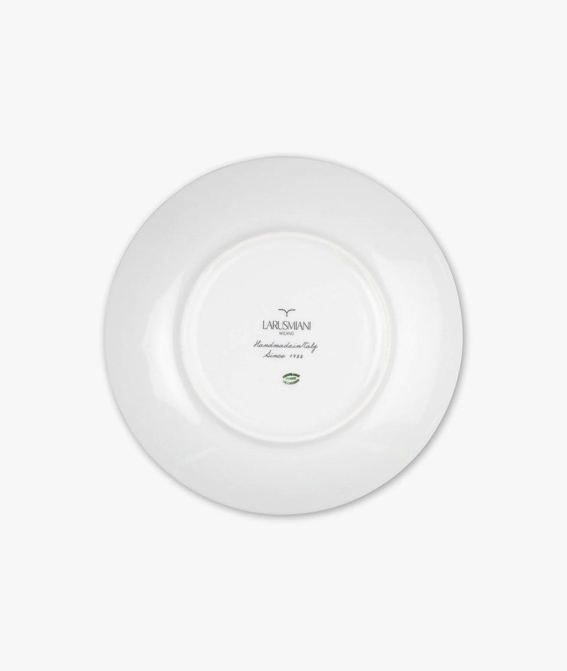 Plate “Suillus”